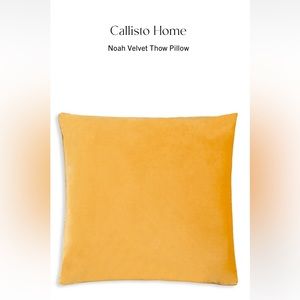 CALLISTO HOME VELVET LARGE THROW PILLOW
